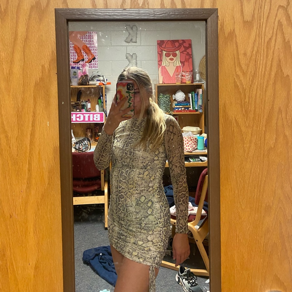 Snake Print Long Sleeve Mesh Dress